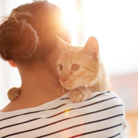 Cat with owner on shoulder